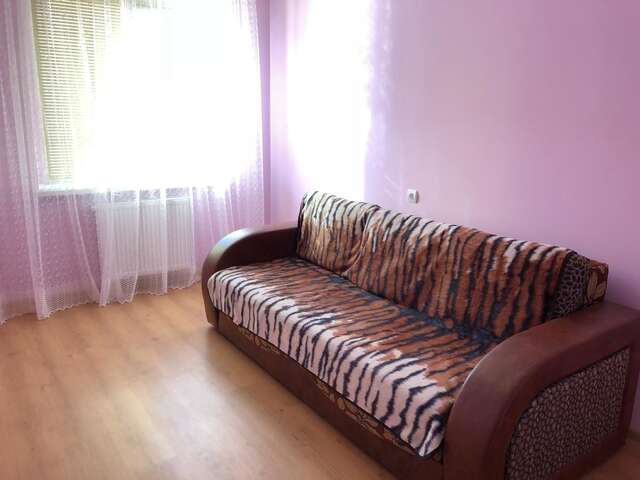 Апартаменты Apartment 3 Mynaiska Ужгород-7